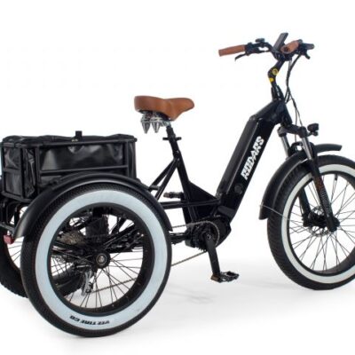 Tricycle Electrique Artemis