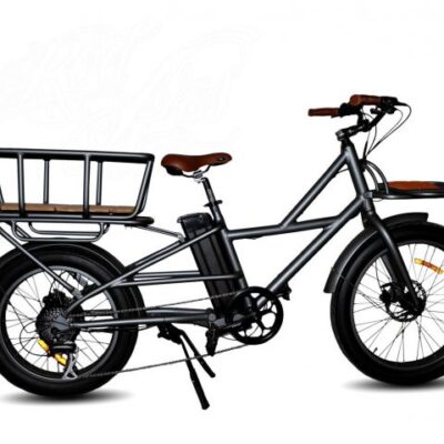 Tricycle Electrique Pandora Cargo Bike