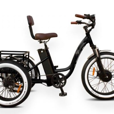 Tricycle Electrique Invictus RS (48V)