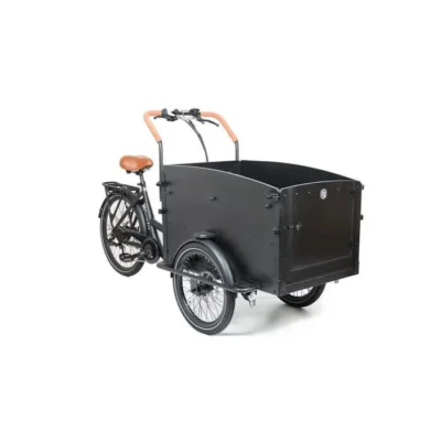 Tricycle électrique noir avec porte